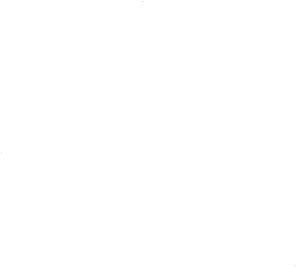 Christmas illustration stag 2