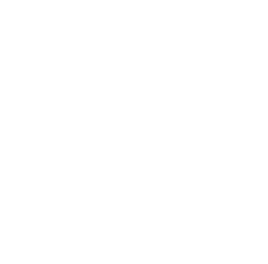 sketch illustration