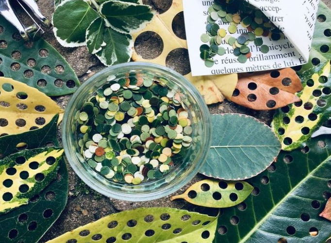 Green leaves confetti